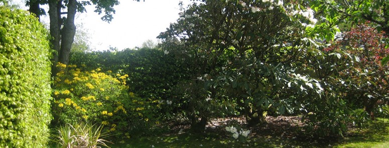 Garden – Picnic Table