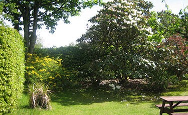 Garden – Picnic Table