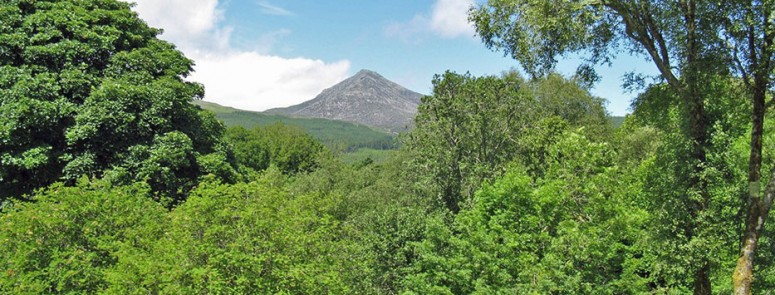 View from Rosa Suite Sitting Room